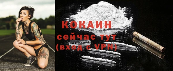 крисы Абдулино
